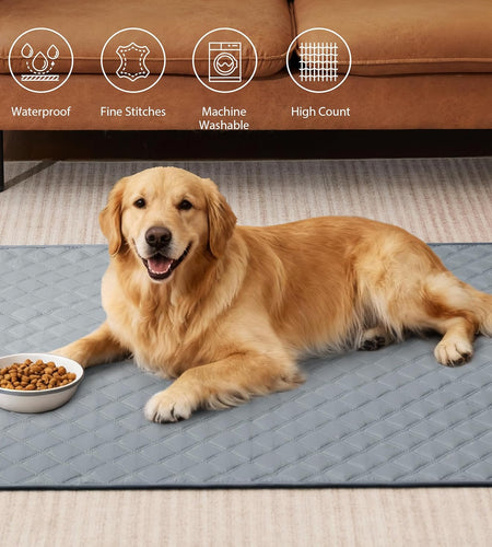 Reusable Washable Pee Pads for Dogs Large/Extra Large 36'' X 41'' 2 Pack, Absorbent Pet Puppy Dog Training Pads Non-Slip, Waterproof Whelping Potty Pads for Dogs Leak-Proof